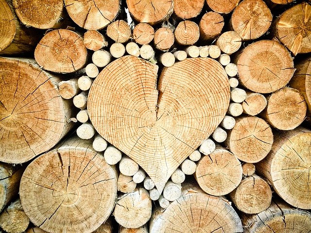láska ke dřevu